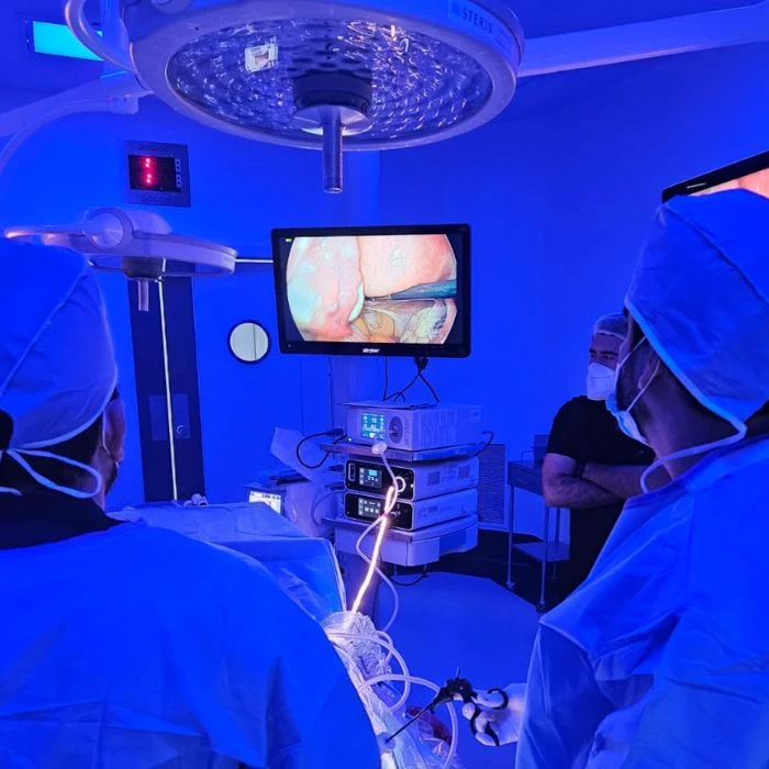 inseminación artificial