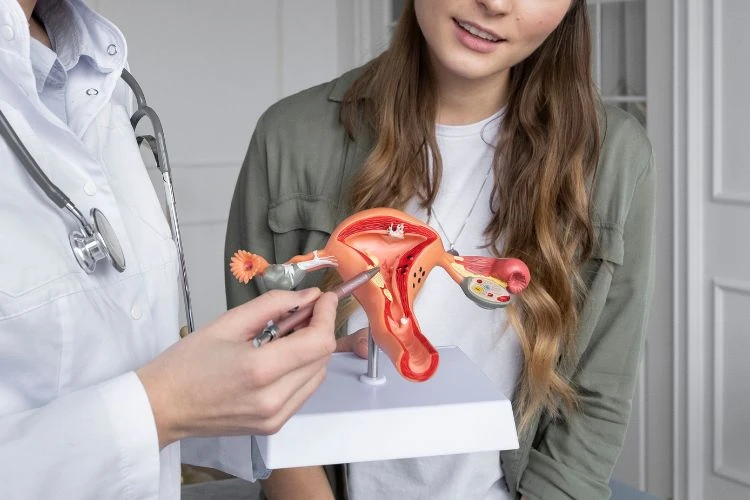 que es la menopausia