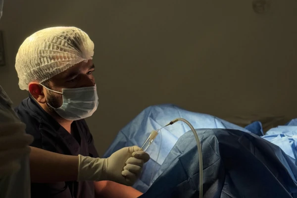 Fertilización in vitro